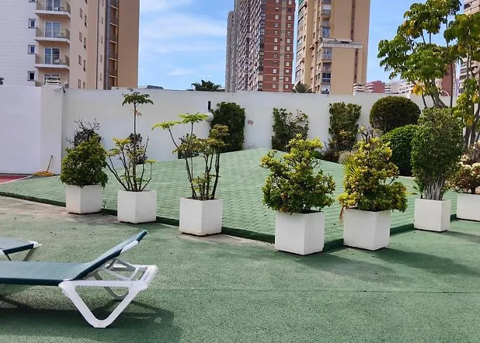 Solo Familias Domo بينايدورم